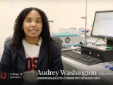 SDSU Program a Catalyst for Chemistry Student to Develop Skills and Identity as Scientist